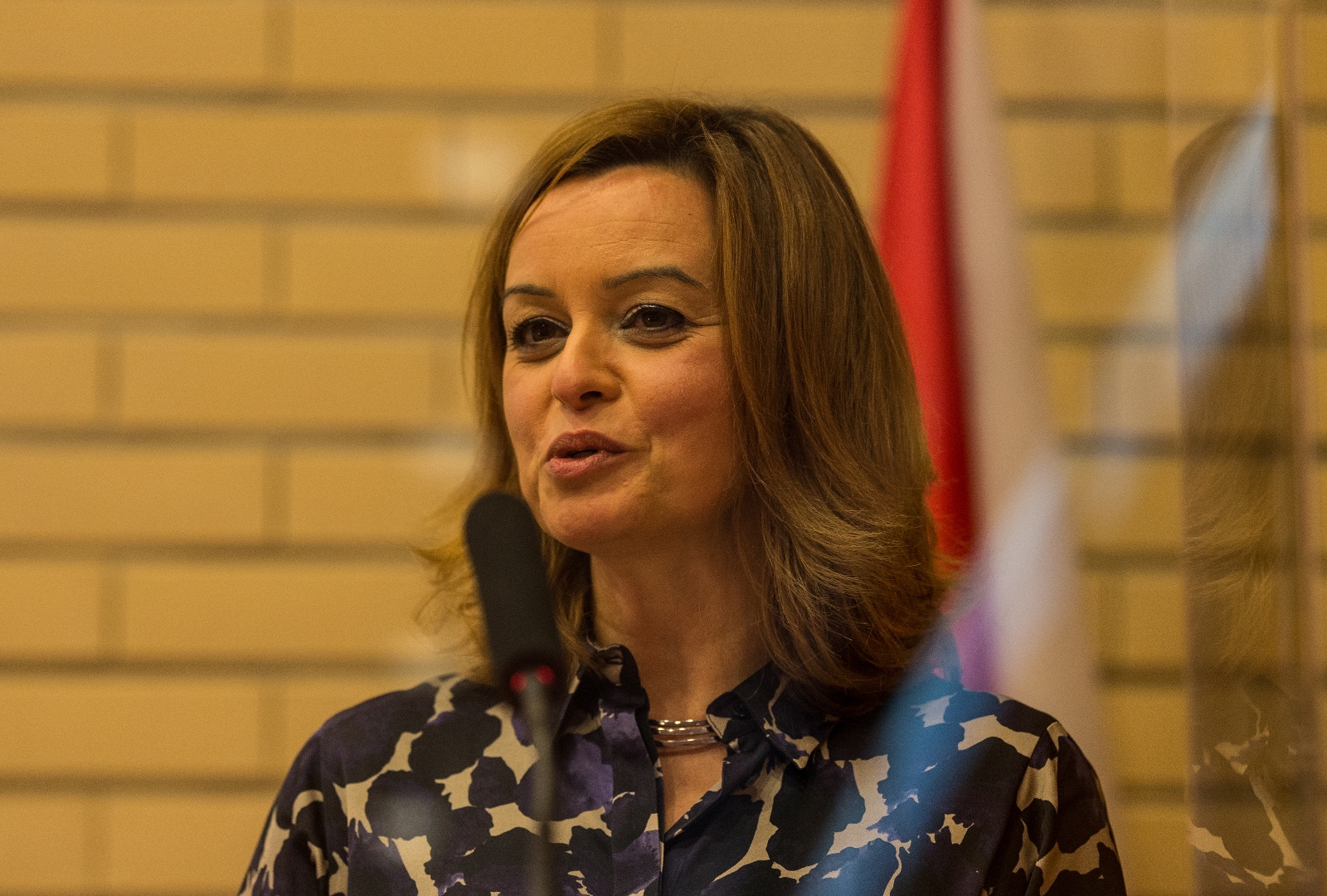 Thumbnail da galeria Aniversário Escola de Direito